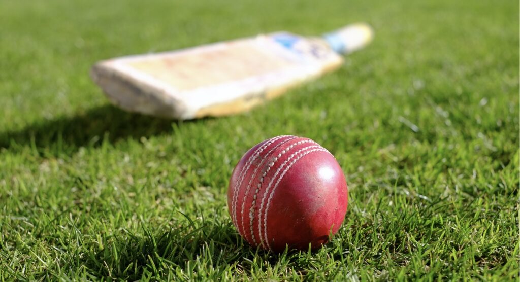 Cricket bat and ball on grass
