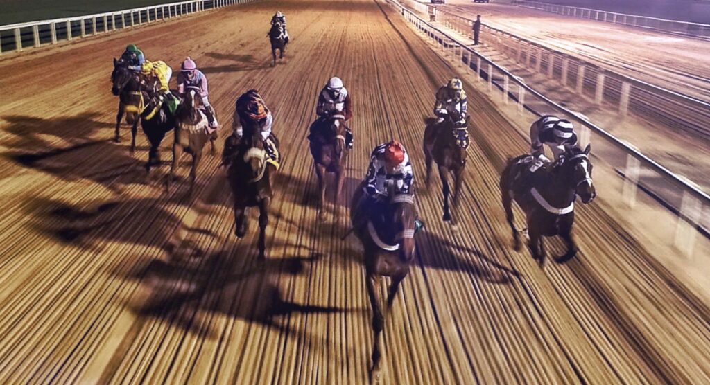 Horses sprinting during flat race